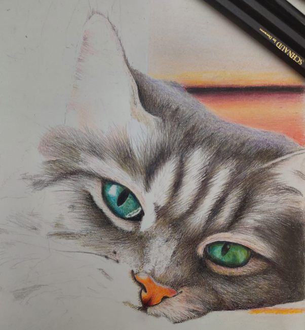 Tierportrait